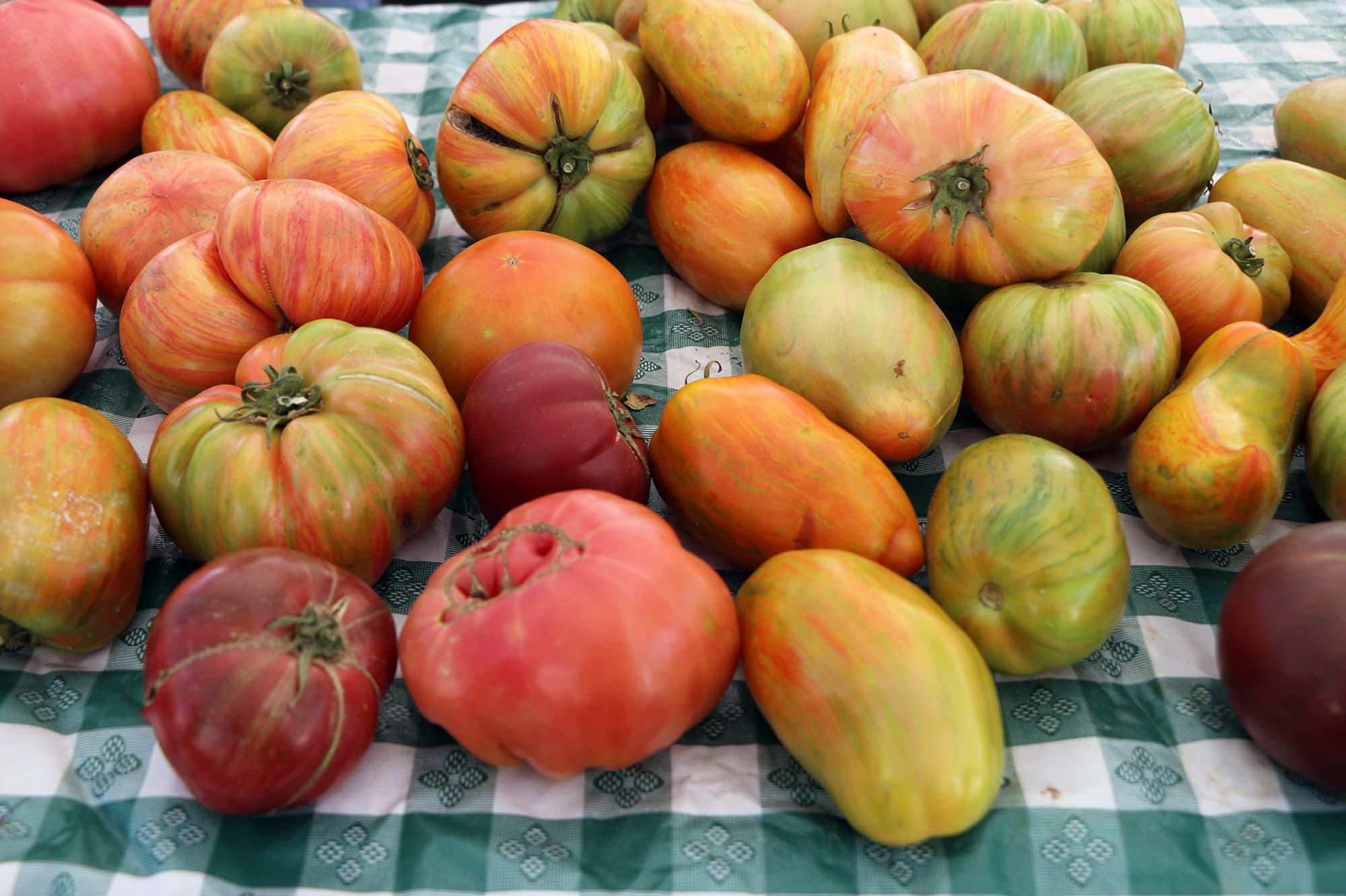heirloom tomatoes from San Francisco farmers' market